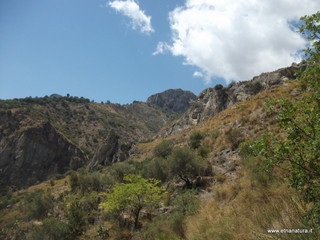 stoleone-17-08-2014 12-22-33